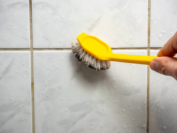 Best Residential Mold Removal  in Memphis, FL